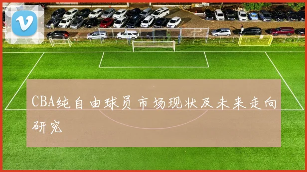 CBA纯自由球员市场现状及未来走向研究