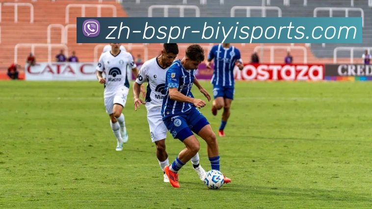 B体育平台生态图